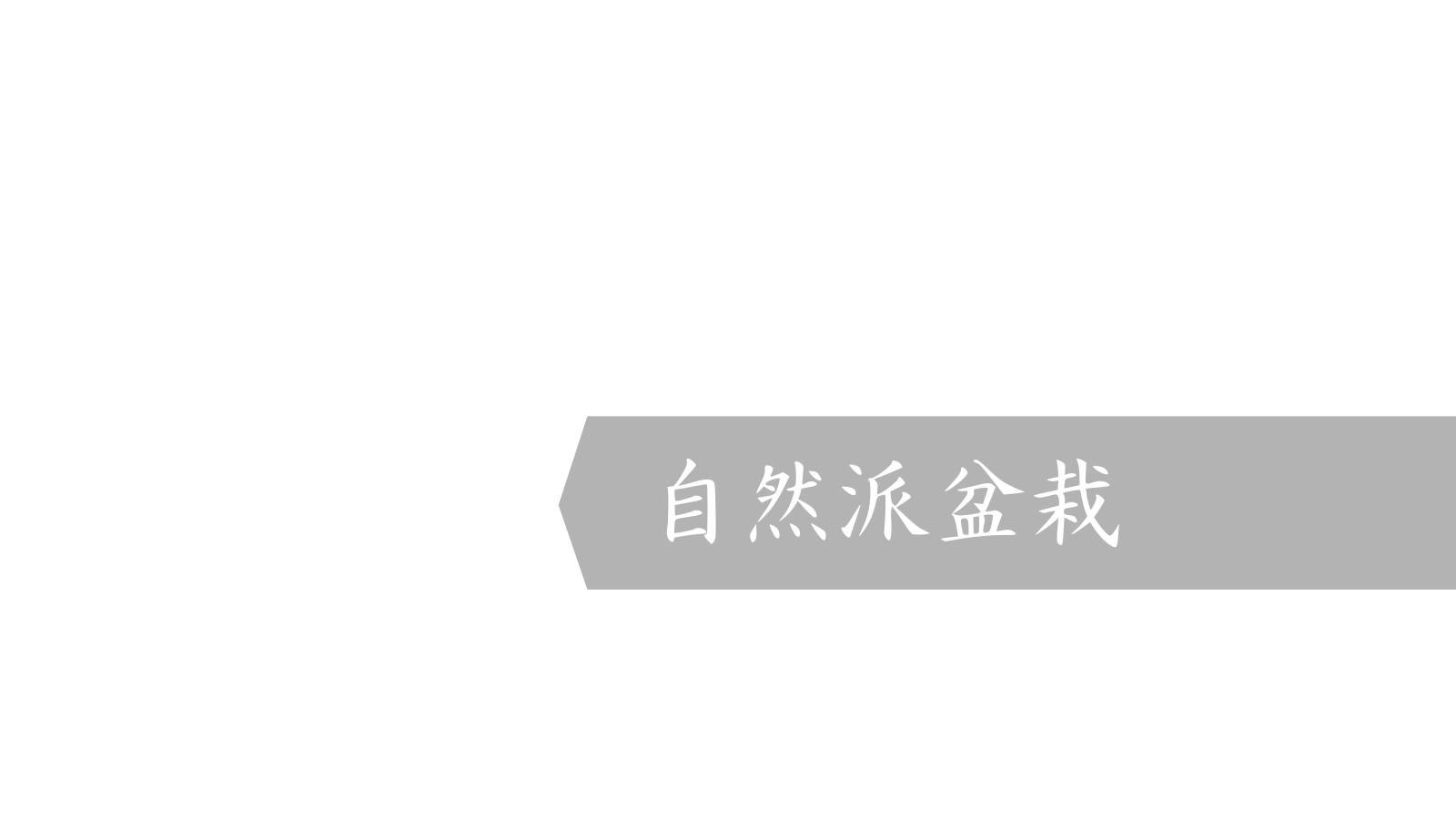 自然派盆栽