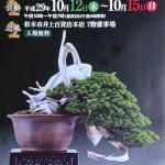 第４１回「信州盆栽名品展」IN松本開催のお知らせ