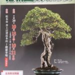 第４２回「信州盆栽名品展」松本開催のお知らせ