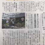イギリスからの取材がありました