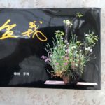 とても素晴らしい自然盆栽の本