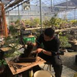 盆栽教室の生徒さんから嬉しい報告
