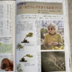 月刊近代盆栽に掲載していただきました