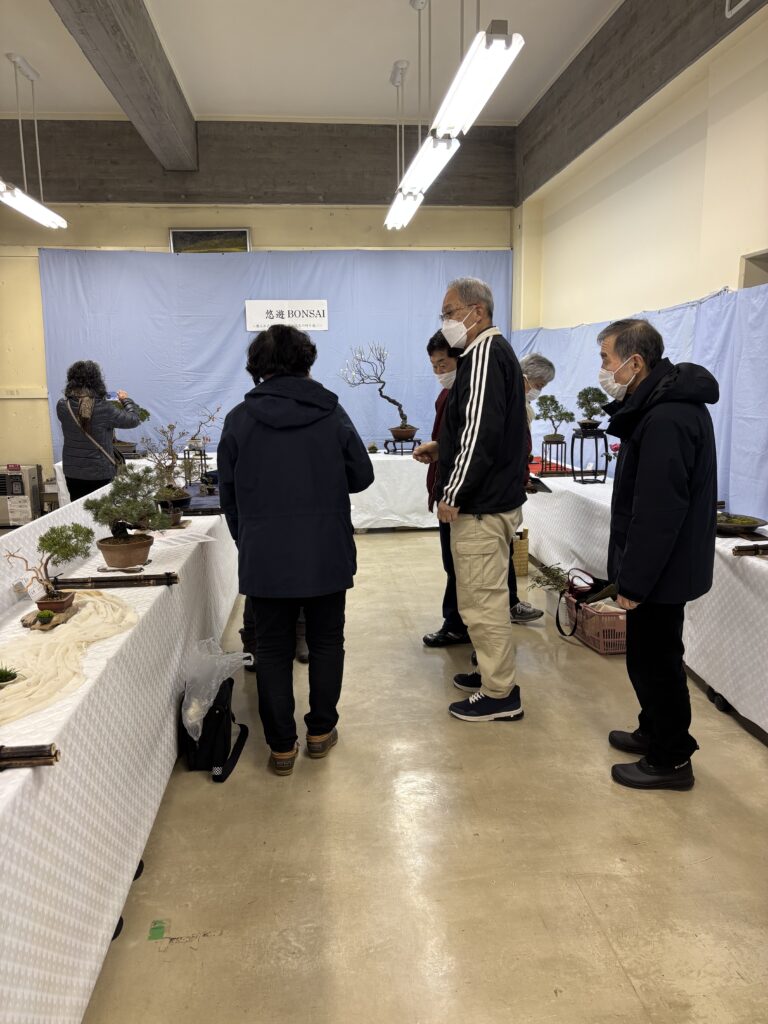 長野市城山公民館にて盆栽成人学校作品展開催