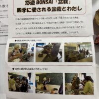 今期も長野市城山公民館にて成人学校盆栽作品展を開催します