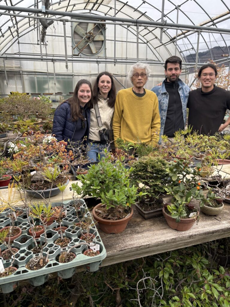 イタリアからのご来客と自然盆栽の富田さんと松山園にて